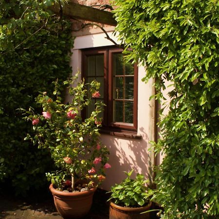 Minehead Mews Cottage Exterior photo