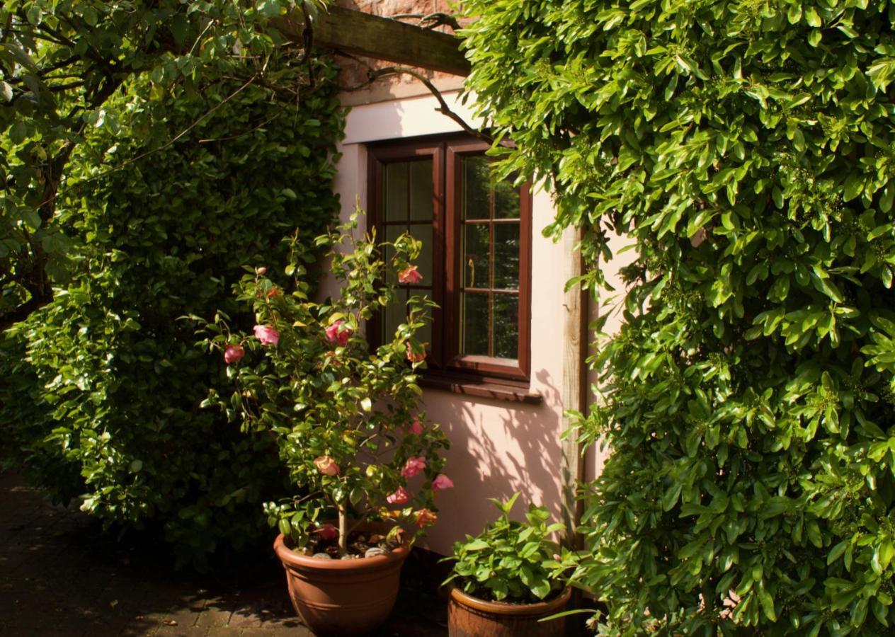 Minehead Mews Cottage Exterior photo